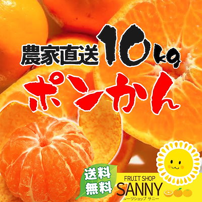 Qoo10 愛媛県産ポンかん10kg 送料無料 食品