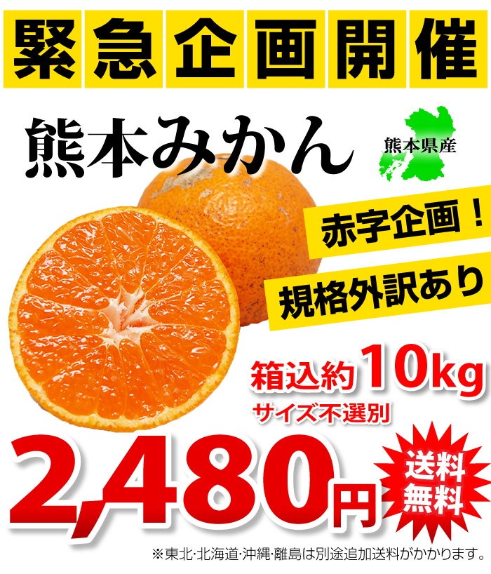 Qoo10] みかん 10kg 箱込重量 内容量9kg