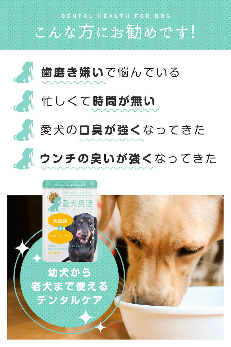 Qoo10 アウトレット 愛犬臭活 デンタルヘルスケ