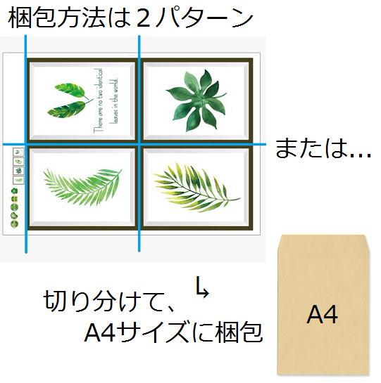 Qoo10 ウォールステッカー 植物の葉 写真枠