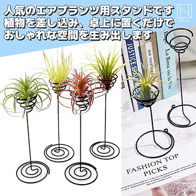 値段が激安 ガーデニング エアプランツフォルダースタンドエアプラント観葉植物エアープランツ 大3個 Western Irrigation Com