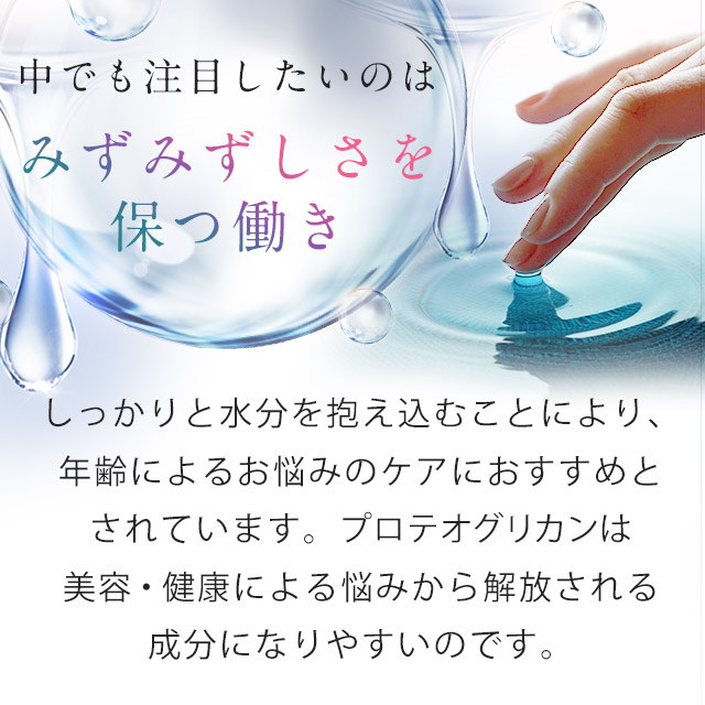 Qoo10 プロテオグリカン 3個セット約3ヶ月