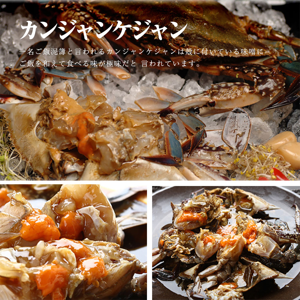 500g 魚介類 海産物 通販 カンジャンケジャン ワタリガニの醤油漬け インターネット ヤンニョムケジャン 味付けカニ 400g 500g 魚介類 海産物 通販 カンジャンケジャン ワタリガニの醤油漬け インターネット ヤンニョムケジャン 味付けカニ 400g