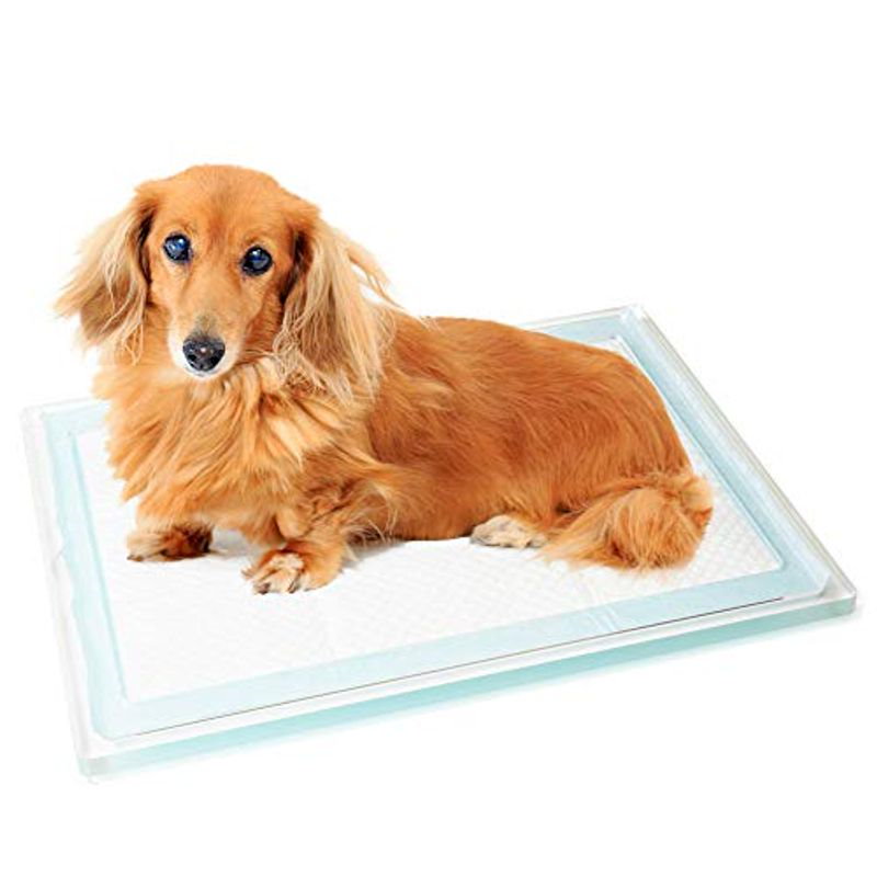 ピックアップ搭載 クーアイ アクリル ペットトイレトレー 犬用 トイレ クリア 防音防振耐震対策 ホーム 生活 ペット Mncomercial Com Br