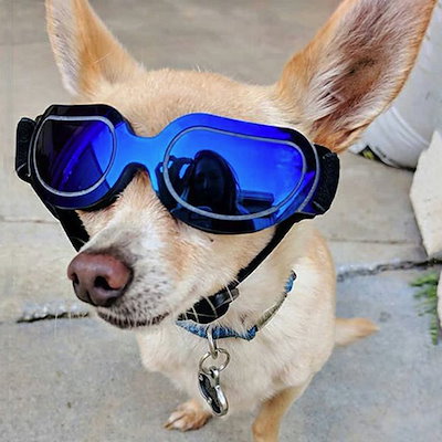 最前線の 猫用品 ゴーグルサングラス防風大型犬ゴムバンド中型犬花zqペット用猫犬おしゃれ高透過率 Sjemenarna Net