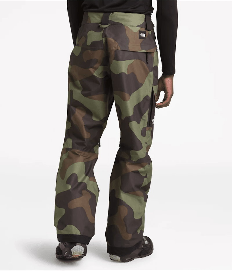 north face slashback cargo pants