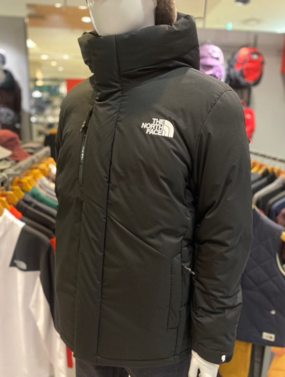 the north face go exploring down jacket