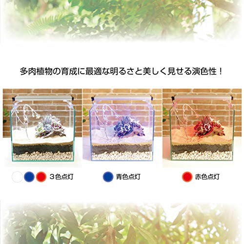 公式クリアランス ジェックス クリアled パワーiii 900 90cm 水槽用3色led 観賞魚飼育水草育成用 翌日発送可能 Elms Hsbuild Com