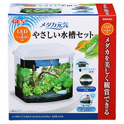 かわいい 熱帯魚 アクアリウム用品 ジェックスメダカ元気オールインワン水槽led フィルター付メダカにやさしい水槽セット Sjemenarna Net