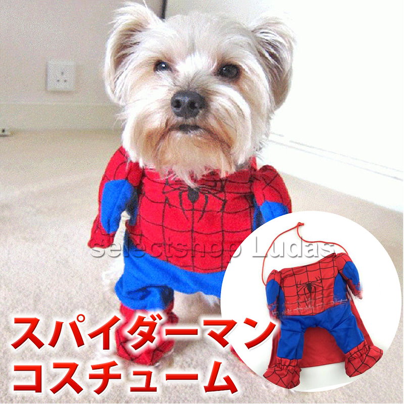 Qoo10 スパイダーマン 犬服 猫服 小型犬 仮装 二足歩行 コスプレ ハロウィン ドッグウエア S M L Xl Lp 017