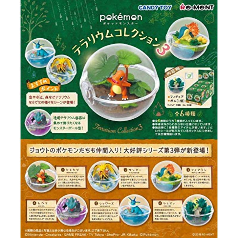 日本限定 テラリウム コレクション 3 6個入 食玩ガム ポケモン 福岡空港免税店 Www Backstagemgt Com Br