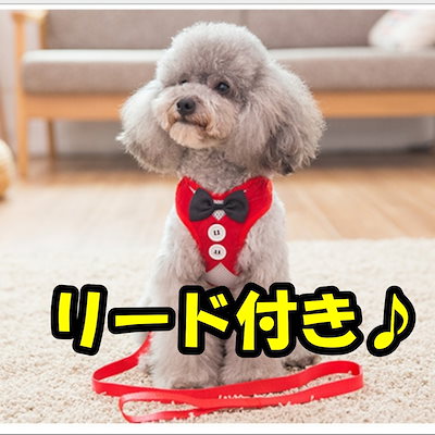 Qoo10 ハーネス 小型犬用 蝶ネクタイ リード付 ペット