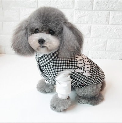 Qoo10 パーカー 新品 犬の服 ジャケット コート ペット