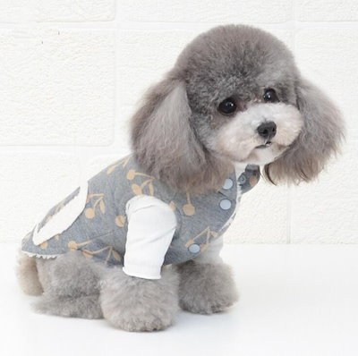 Qoo10 パーカー 21新品 犬の洋服 犬服 ふわふわ ペット