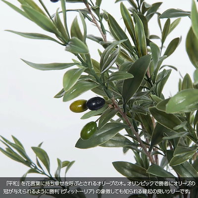 44 割引熱販売 フェイクグリーンイタリアンオリーブヴィットーリア110cm陶器鉢付ct触媒 花 ガーデニング Diy 工具 Urbanfarminginstitute Org