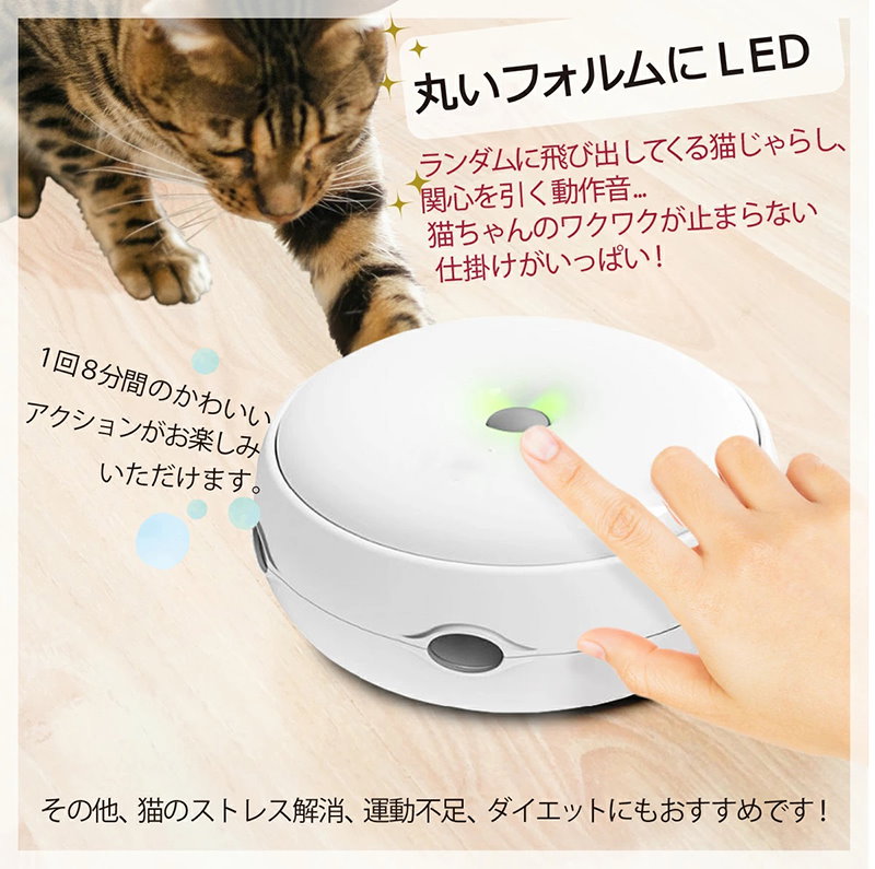 Qoo10 猫じゃらし