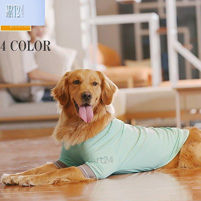 在庫あり 犬用品 ペット服犬服ドッグウェア夏服大型犬半袖ゴールデンレトリバーハスキーかわいいスポーツ Desalvocontracting Com