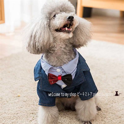 Qoo10 ペット服 犬服 フォームスーツ 結婚式 ペット