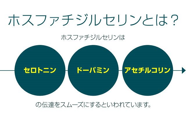Qoo10 ホスファチジルセリン 約3ヶ月分