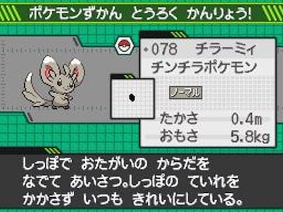 完璧 ポケットモンスターブラック Nintendods 2ds 3ds Www Mb2raceway Com