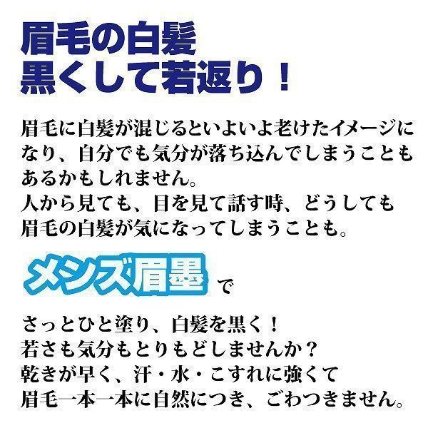 Qoo10 メンズ眉墨 塗るだけ簡単若々しい印象に眉に限定した白髪隠し メンズ眉墨 メンズ 眉墨 眉墨 眉毛 白髪 眉墨 ブラック