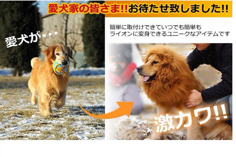 Qoo10 犬用 たてがみ ライオン たてがみ コス