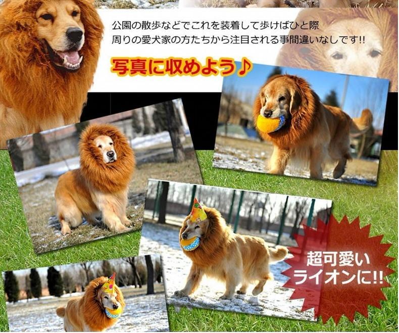 Qoo10 犬用 たてがみ ライオン たてがみ コス