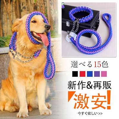 新しいスタイル 犬用品 リードと首輪セット犬ドッグリード首輪2点セットドック用品犬用首輪リードリードセッ Www Sjemenarna Net