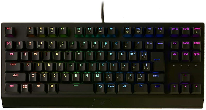 セール品 レイザーrazer ゲーミングキーボード テンキーレス Blackwidow V3 Tkl Jp Class 21年春夏再入荷 Info Ceajalisco Gob Mx