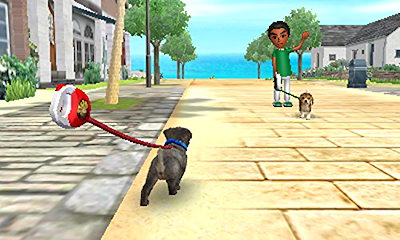 おすすめ 任天堂ハッピープライスセレクションnintendogs Catsトイプードル Newフレンズ Nintendods 2ds 3ds Massrpa Org