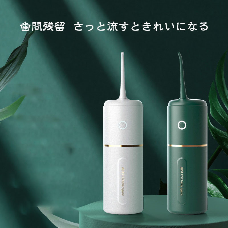 電動歯清掃器 ヘッド歯清掃器 口腔洗浄 家庭用携帯用歯清掃器