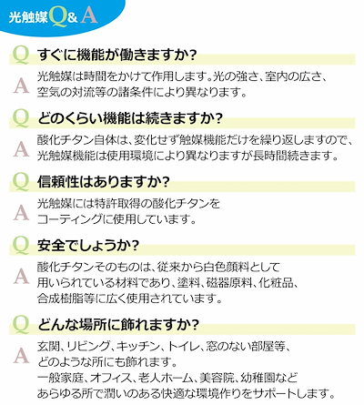 49 割引最新情報 光の楽園光触媒幸福の木1 6 ガーデニング ガーデニング Diy 工具 Urbanfarminginstitute Org