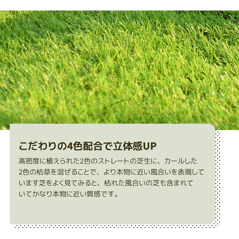 47 割引 公式 即納人工芝ロール2mx10m全高30mmピン42本つき4色立体感透水穴つきリアルふか ガーデニング ガーデニング Diy 工具 Urbanfarminginstitute Org