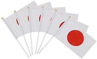 日本初の 知育教材 国旗日の丸日本ワールドカップオリンピックスポーツ観戦日本代表応援応援グッズ10本2 Www Desalvocontracting Com