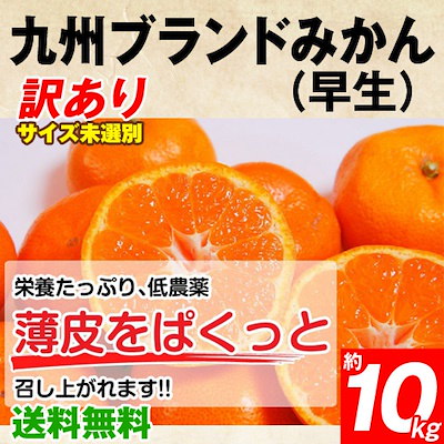 Qoo10 大人気 早生みかん 10kgでこの価格 輸送保障込みとなります 送料無料 訳あり九州ブランドみかん10kg