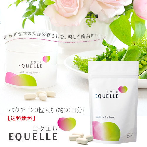 Qoo10 Tv Cm中 大塚製薬 エクエル1粒 約30日分 パウチタイプequelle女性のゆらぎ期をサポート大豆を乳酸菌で発酵させたエクオール