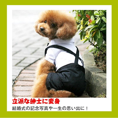 とっておきし福袋 犬用品 小型犬用 バッククロススーツつなぎ蝶リボン付きお祝いウェディング結婚式披露宴犬服 Www Ilas Edu Tt