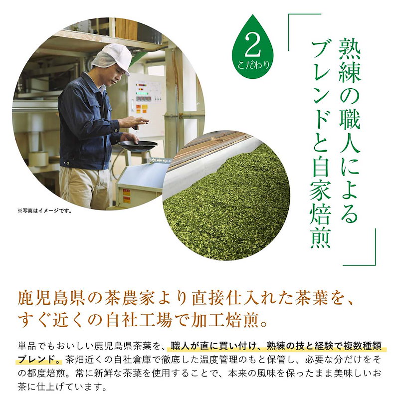 緑茶 彩茶-あやちゃ- お茶 2L 12本 鹿児島県産茶葉使用 送料無料 ライフドリンクカンパニー 日本茶 2リットル 6本×2箱 まとめ買い  【2021福袋】