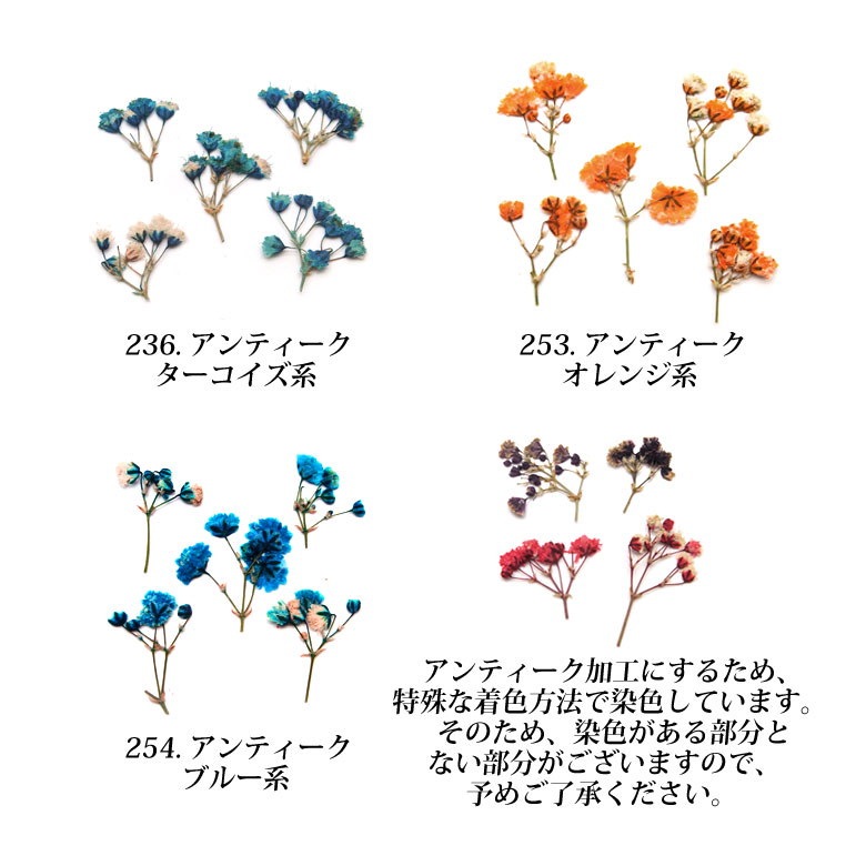 Qoo10 押し花 ドライフラワー 232 254 各種 10枚入り 押し花 素材 ネイル レジン ドライフラワー 封入 材料 植物 花びら 花弁 枝 まだら アンティーク ピアス イヤリング Qoo10 押し花 ドライフラワー 232 254 各種 10枚入り 押し花 素材 ネイル レジン ドライフラワー 封入 材料 植物 花びら 花弁 枝 まだら アンティーク ピアス イヤリング