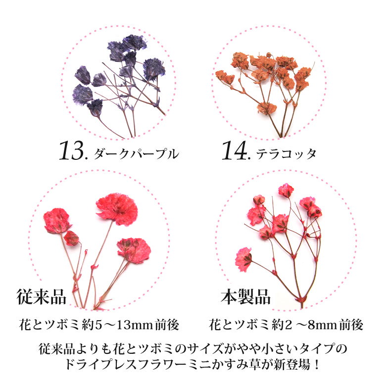 Qoo10 押し花 ドライプレスフラワー ミニかすみ草 全14色 5本入 ドライフラワー 花材 かすみ草 フラワー ジェル ネイル アート レジン封入 ピアス イヤリング アクセサリー 材料 封入素材 クラフト