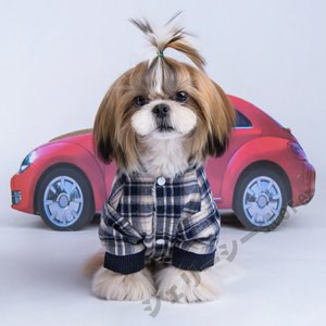 Qoo10 犬服 ペット服 ペット用品 おしゃれで可 ペット