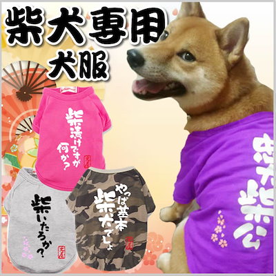 Qoo10 柴犬 専用 犬服 おもしろコメントドッグ ペット