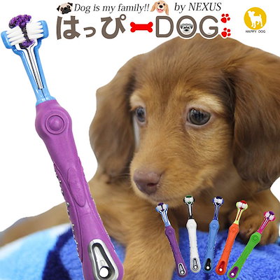 Qoo10 柴犬 犬用歯ブラシ 歯ブラシ 歯磨き 歯 デン ペット