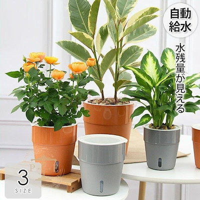 殿堂 ガーデニング 植木鉢プランターおしゃれ鉢植え花栽培プレゼントギフト母の日通販かわいいガーデニ Sjemenarna Net