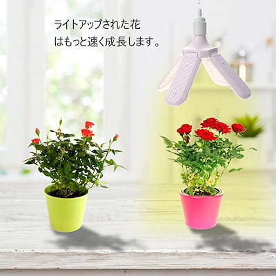 超特価sale開催 ガーデニング 植物育成ライトled植物育成用水耕栽培ライトフルスペクトル4000k赤色光660nmled4 Www Desalvocontracting Com