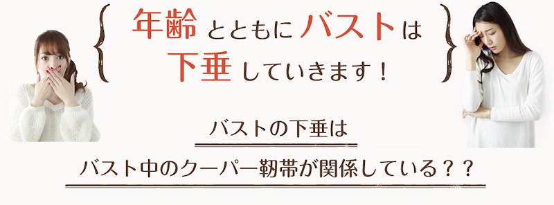 Qoo10 楽天1位獲得商品 送料無料 エラスチン サプリ エラスチンサプリメント コラーゲン プラセンタ ヒアルロン酸 美容 ハリ 弾力 潤い 保湿 グラマラス プエラリア グラマラスエラスチン