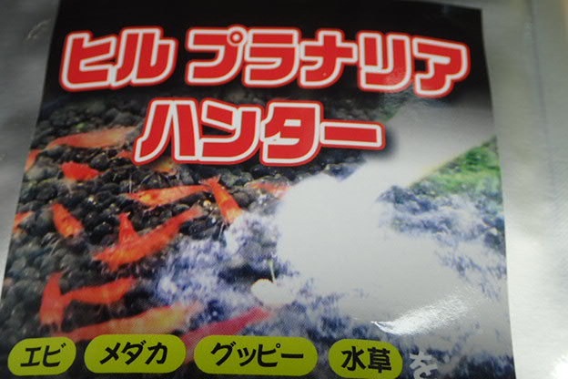 Qoo10 水槽の南米プラナリアの駆除に即効性で一撃