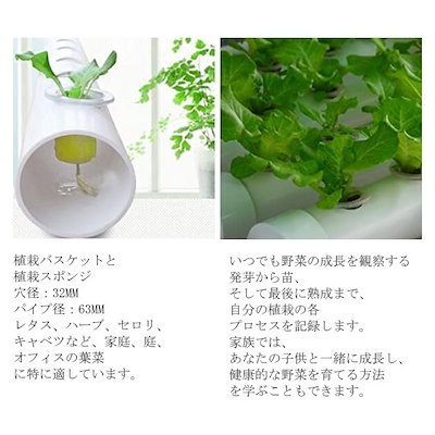 本物保証 水耕栽培キット水耕栽培植物野菜用具植物育成家庭菜園室内ベランダ水耕栽培セット 10 生活雑貨 Headshotsbar Com