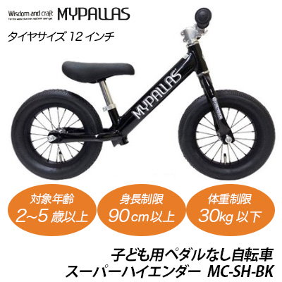12 インチ 自転車 年齢