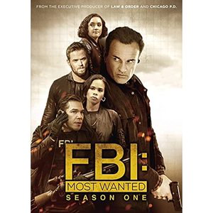 最大の割引 海外tvドラマ Fbi Mostwanted指名手配特捜班dvd Box Tvドラマ Aldecoregypt Com